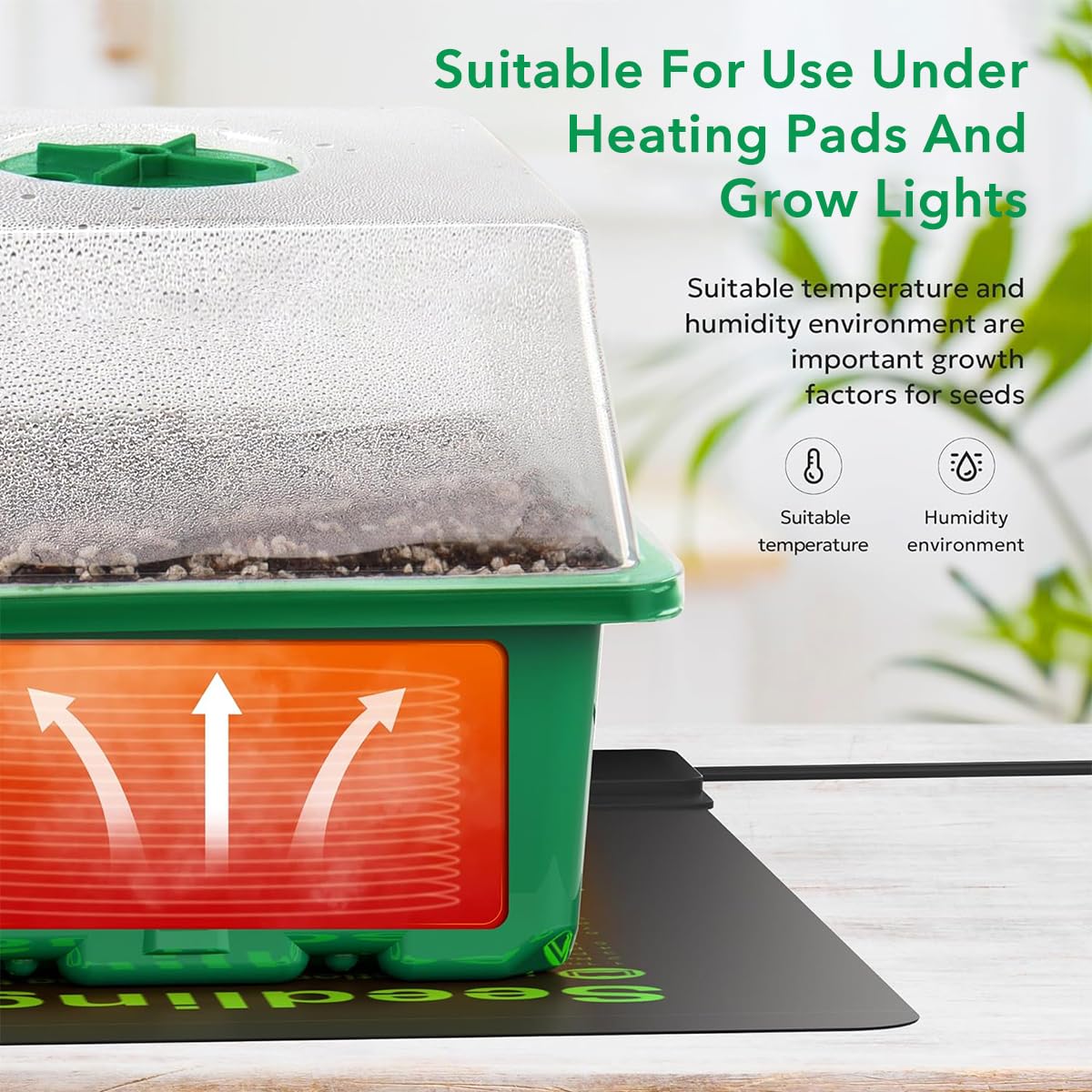 HASTHIP® 5Pcs Seed Starter Tray Kit with 12 Cell Seedling Tray, Labels, Seedling Tools - Seed Starter Tray with Drainage Design - Home Greenhouse Germination Kit - Growing Tray Gardening Tools Kit HASTHIP® 5Pcs Seed Starter Tray Kit with 12 Cell Seedling Tray, Labels, Seedling Tools - Seed Starter Tray with Drainage Design - Home Greenhouse Germination Kit - Growing Tray Gardening Tools Kit